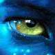 gregsashinsky's Avatar